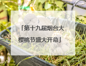 第十九届烟台大樱桃节盛大开幕