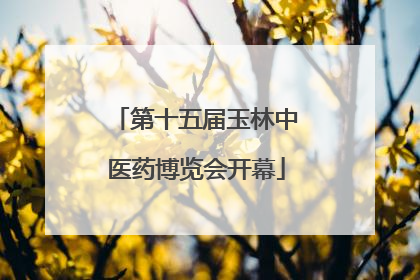 第十五届玉林中医药博览会开幕