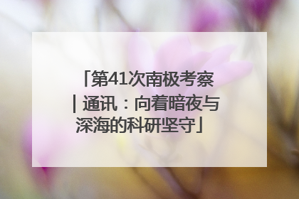 第41次南极考察｜通讯：向着暗夜与深海的科研坚守