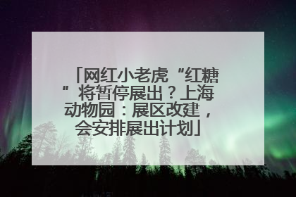 网红小老虎“红糖”将暂停展出？上海动物园：展区改建，会安排展出计划