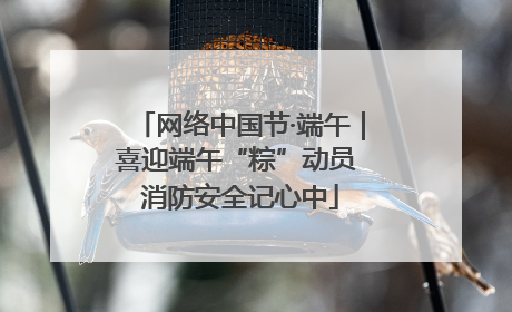 网络中国节·端午｜喜迎端午“粽”动员 消防安全记心中