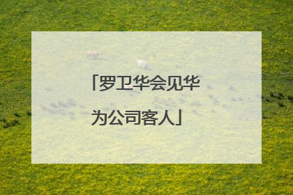 罗卫华会见华为公司客人