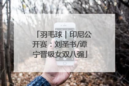 羽毛球｜印尼公开赛：刘圣书/谭宁晋级女双八强