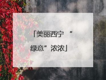 美丽西宁 “绿意”浓浓