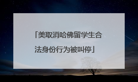 美取消哈佛留学生合法身份行为被叫停