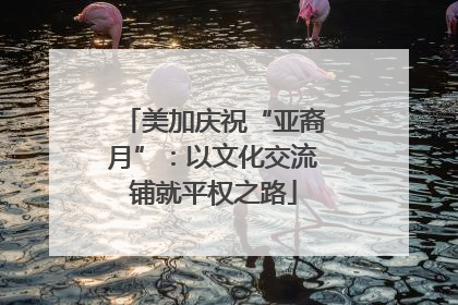 美加庆祝“亚裔月”：以文化交流铺就平权之路
