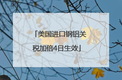 美国进口钢铝关税加倍4日生效