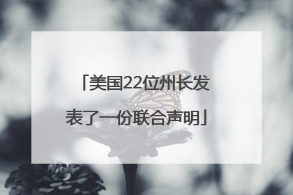 美国22位州长发表了一份联合声明