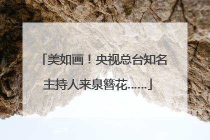 美如画！央视总台知名主持人来泉簪花……