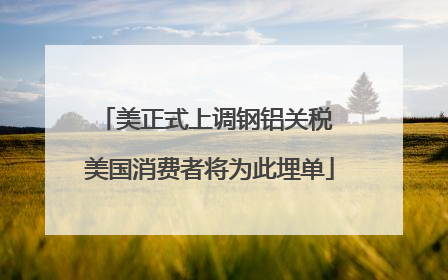 美正式上调钢铝关税 美国消费者将为此埋单