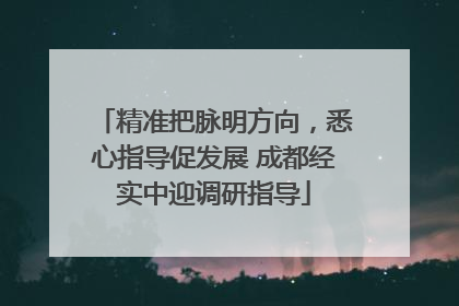 精准把脉明方向，悉心指导促发展 成都经实中迎调研指导