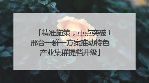 精准施策，重点突破！邢台一群一方案推动特色产业集群提档升级
