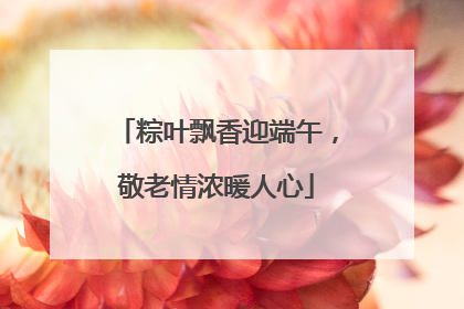 粽叶飘香迎端午，敬老情浓暖人心