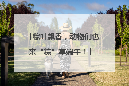 粽叶飘香，动物们也来“粽”享端午！