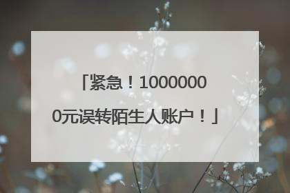 紧急！10000000元误转陌生人账户！