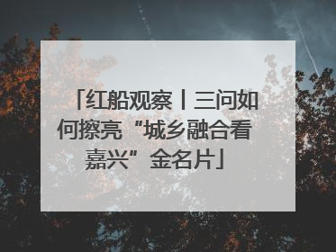 红船观察丨三问如何擦亮“城乡融合看嘉兴”金名片