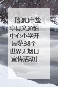 绵阳市盐亭县文通镇中心小学开展第38个世界无烟日宣传活动