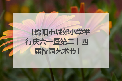 绵阳市城郊小学举行庆六一暨第二十四届校园艺术节