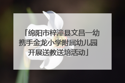 绵阳市梓潼县文昌一幼携手金龙小学附属幼儿园开展送教送培活动
