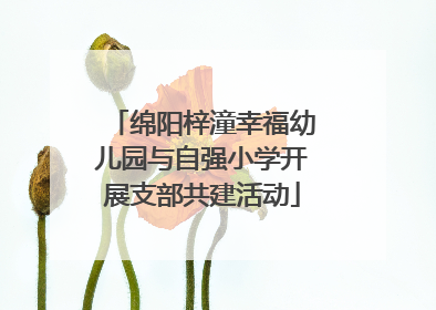 绵阳梓潼幸福幼儿园与自强小学开展支部共建活动