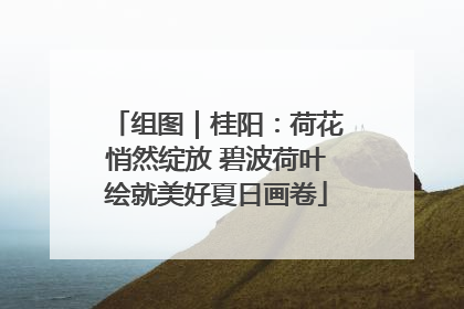 组图｜桂阳：荷花悄然绽放 碧波荷叶绘就美好夏日画卷