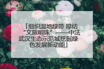 细织湿地绿带 厚结“文旅明珠”——中法武汉生态示范城挖掘绿色发展新动能