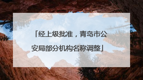 经上级批准，青岛市公安局部分机构名称调整