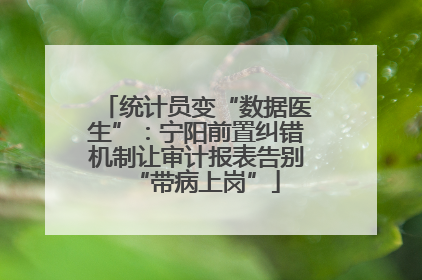 统计员变“数据医生”：宁阳前置纠错机制让审计报表告别“带病上岗”
