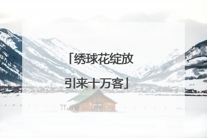 绣球花绽放 引来十万客