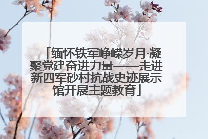 缅怀铁军峥嵘岁月·凝聚党建奋进力量——走进新四军砂村抗战史迹展示馆开展主题教育