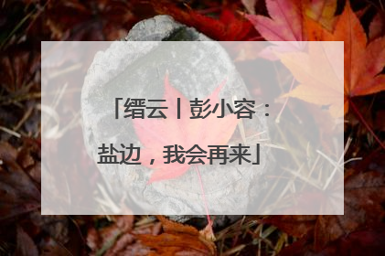 缙云丨彭小容：盐边，我会再来