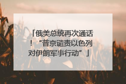 俄美总统再次通话！“普京谴责以色列对伊朗军事行动”