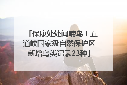 保康处处闻啼鸟！五道峡国家级自然保护区新增鸟类记录23种