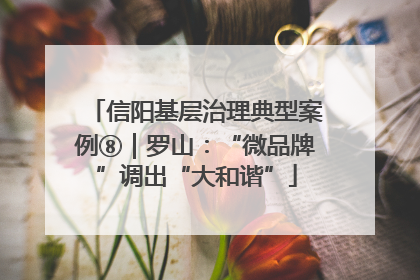 信阳基层治理典型案例⑧｜罗山：“微品牌”调出“大和谐”