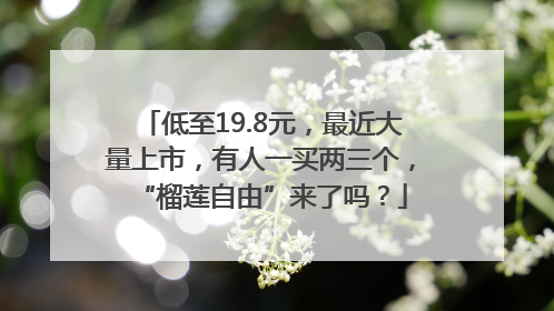 低至19.8元，最近大量上市，有人一买两三个，“榴莲自由”来了吗？