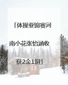 体操亚锦赛河南小花张怡涵收获2金1铜