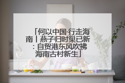 何以中国·行走海南丨燕子归时巢已新：自贸港东风吹拂 海南古村新生