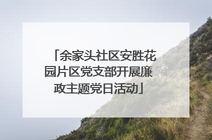 余家头社区安胜花园片区党支部开展廉政主题党日活动