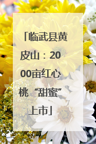 临武县黄皮山：2000亩红心桃“甜蜜”上市