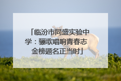 临汾市同盛实验中学：骊歌唱响青春志 金榜题名正当时