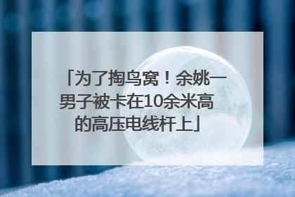 为了掏鸟窝！余姚一男子被卡在10余米高的高压电线杆上
