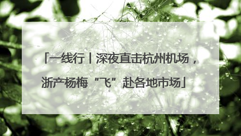 一线行丨深夜直击杭州机场，浙产杨梅“飞”赴各地市场