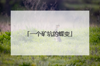 一个矿坑的蝶变