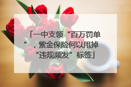 一中支领“百万罚单”，紫金保险何以甩掉“违规频发”标签