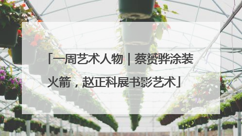 一周艺术人物｜蔡赟骅涂装火箭，赵正科展书影艺术