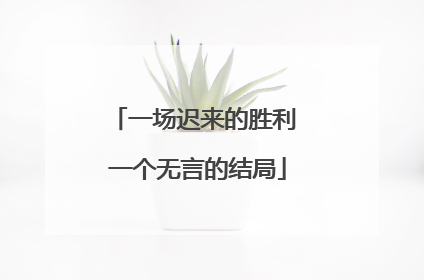 一场迟来的胜利 一个无言的结局