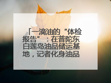 一滴油的“体检报告”：在普陀东白莲岛油品储运基地，记者化身油品化验员