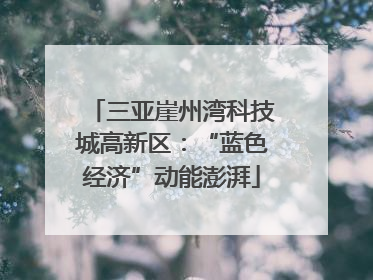 三亚崖州湾科技城高新区：“蓝色经济”动能澎湃