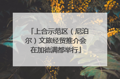 上合示范区（尼泊尔）文旅经贸推介会在加德满都举行
