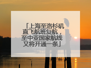 上海至洛杉矶直飞航班复航，至中亚国家航线又将开通一条